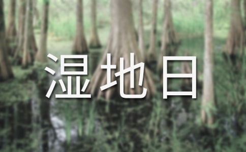 世界濕地日活動策劃書