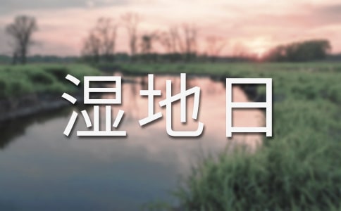 濕地日活動方案