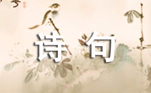 描寫八月十五的詩句