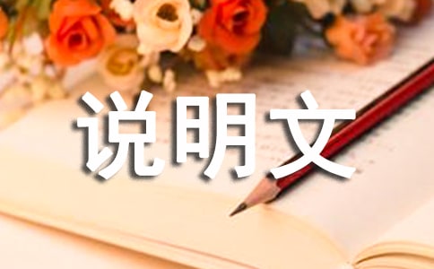 小學優秀說明文（通用31篇）