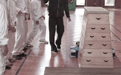 小學(xué)體育教學(xué)總結(jié)