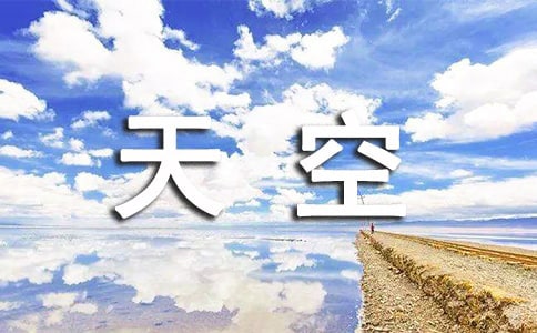 桔子的天空觀后感(8篇)