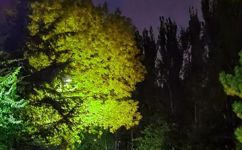2021年經(jīng)典溫暖的晚安心語(yǔ)短信合集85句