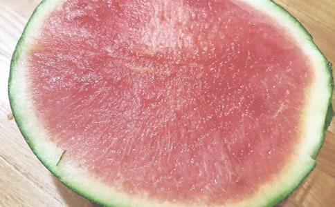 夏日防曬小苗妙招