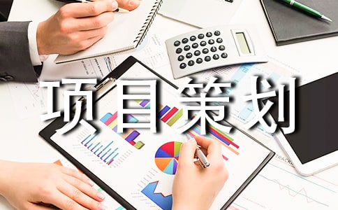 項目策劃書模版