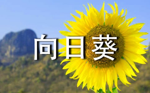 向日葵女孩觀后感