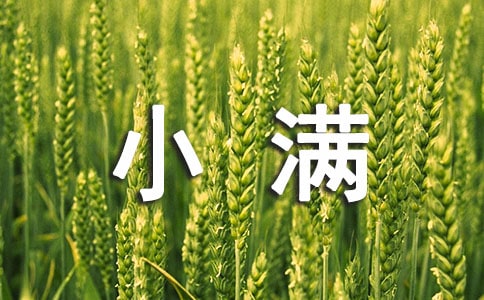 小滿養生問候短信30句精選