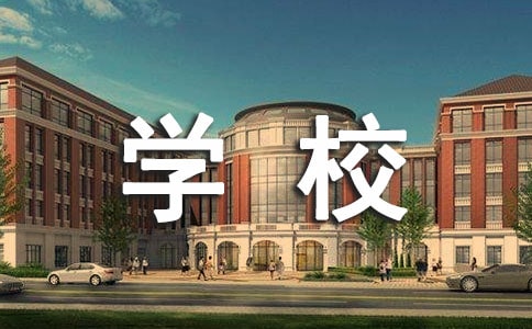 小學校長工作報告（精選5篇）