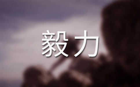 談毅力作文