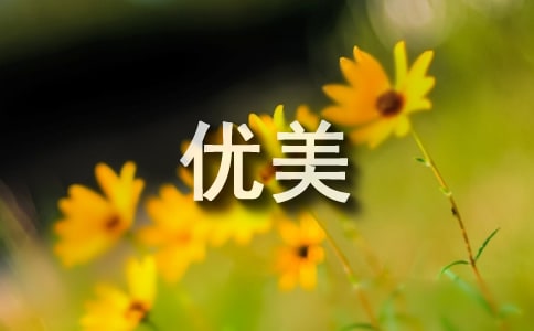 摘抄寫景優(yōu)美文章600字（通用91篇）