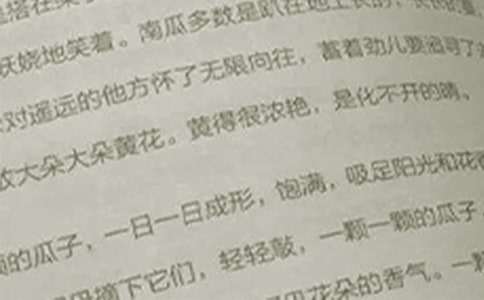 語文小學工作總結