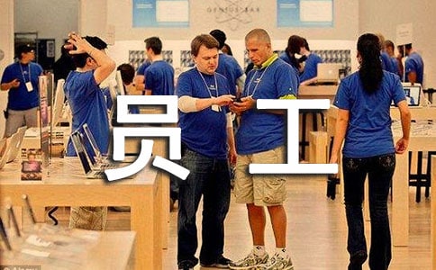 新員工的試用期工作總結