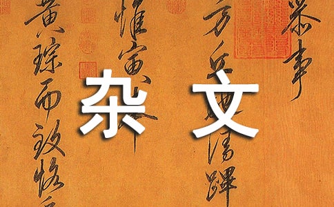 后來我們沒有在一起雜文