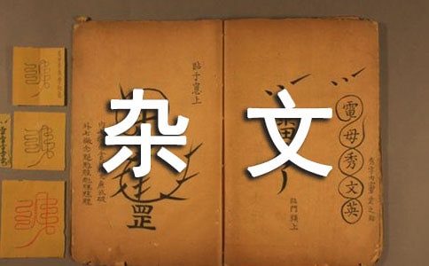 他不是你喜歡的那種人,卻是你喜歡的那個人雜文