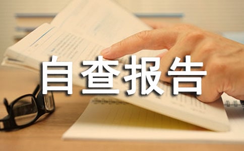安全生產自查報告