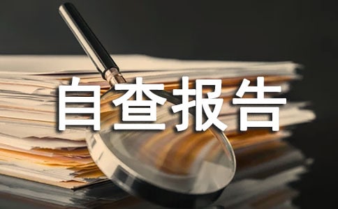 政務公開自查報告【精選】