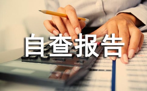 安全自查報告及整改措施