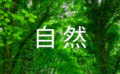 大自然給我的啟示