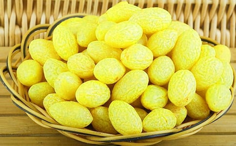 橄欖球的規則