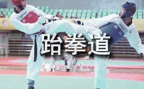 學跆拳道作文優選【15篇】